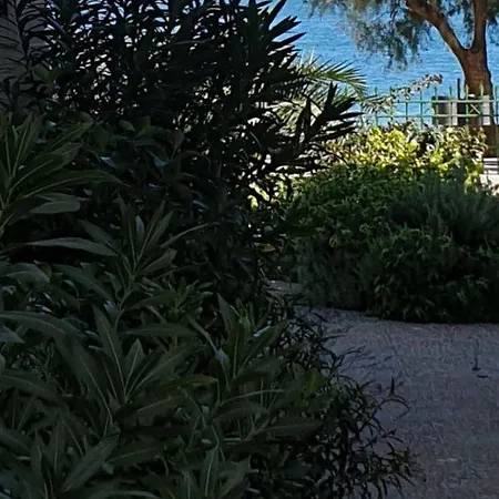 Garden Lefkanti, 4season Plaza